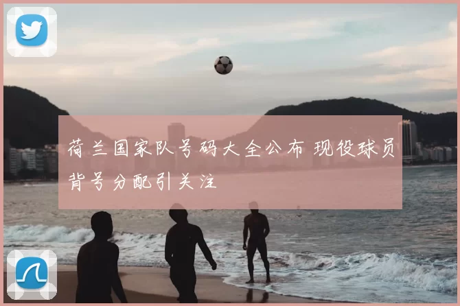 荷兰国家队号码大全公布 现役球员背号分配引关注