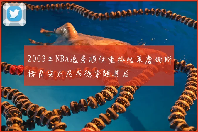 2003年NBA选秀顺位重排结果詹姆斯榜首安东尼韦德紧随其后