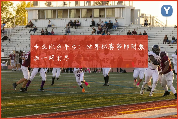 专业比分平台：世界杯赛事即时数据一网打尽